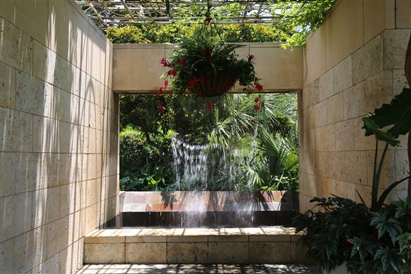 Dallas Arboretum & Botanical (7/15/2016)