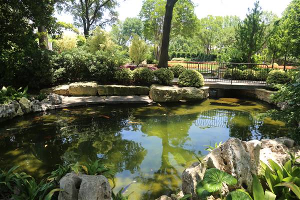 Dallas Arboretum & Botanical (7/15/2016)