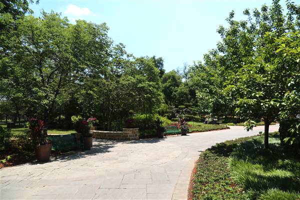 Dallas Arboretum & Botanical (7/15/2016)