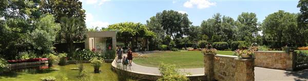 Dallas Arboretum & Botanical (7/15/2016)