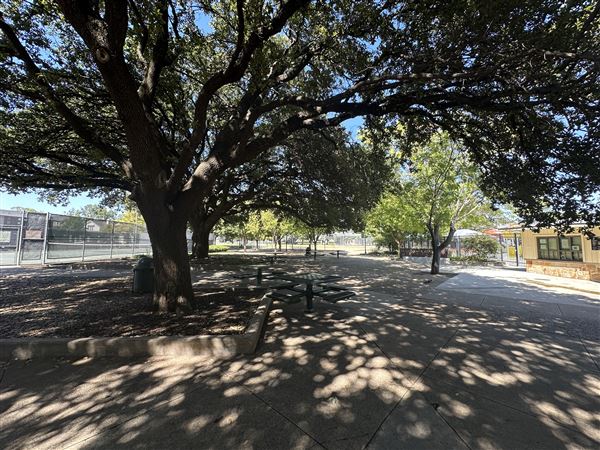 Tietze Park