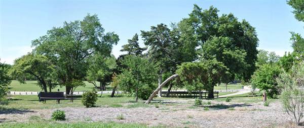 Kiest Park