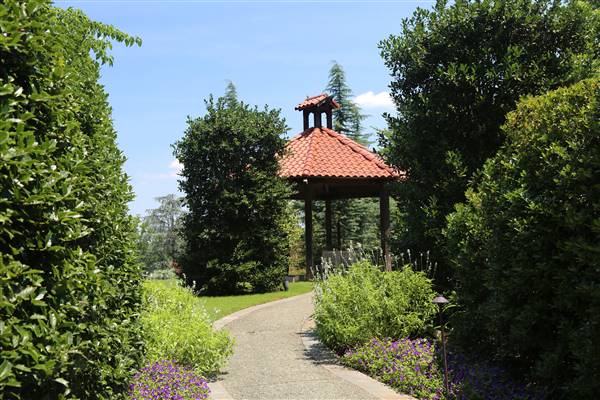 Dallas Arboretum & Botanical (7/15/2016)
