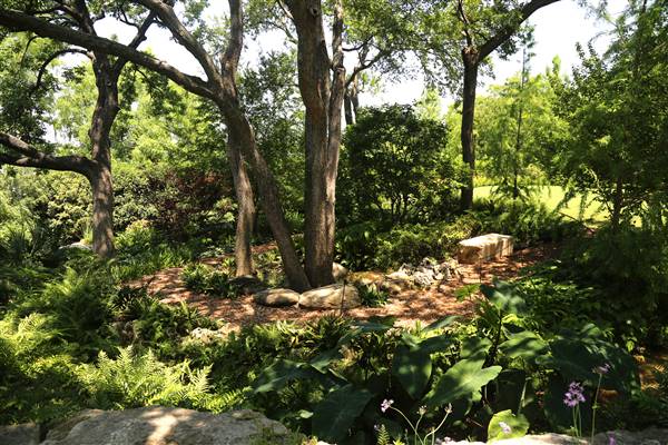 Dallas Arboretum & Botanical (7/15/2016)