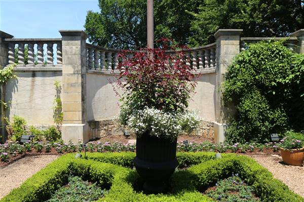 Dallas Arboretum & Botanical (7/15/2016)