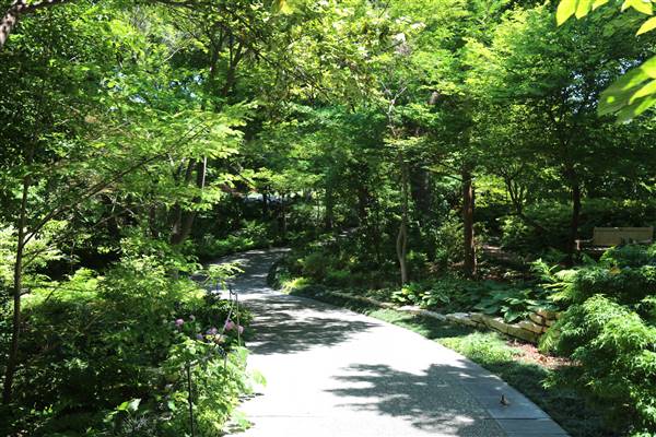 Dallas Arboretum & Botanical (7/15/2016)