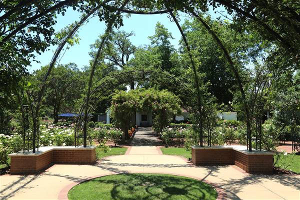 Dallas Arboretum & Botanical (7/15/2016)
