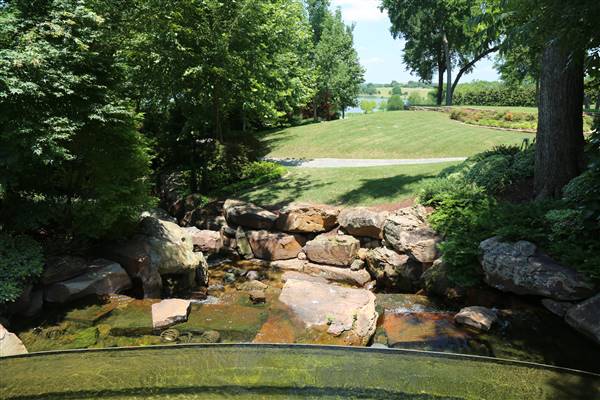 Dallas Arboretum & Botanical (7/15/2016)