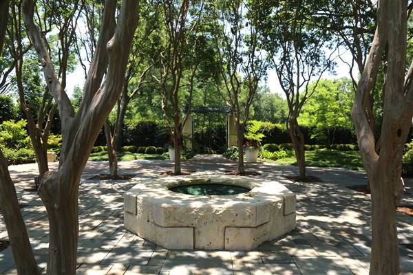 Dallas Arboretum & Botanical (7/15/2016)