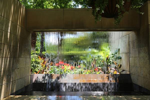 Dallas Arboretum & Botanical (7/15/2016)
