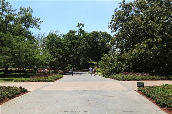 Dallas Arboretum & Botanical (7/15/2016)