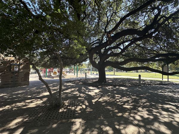 Tietze Park
