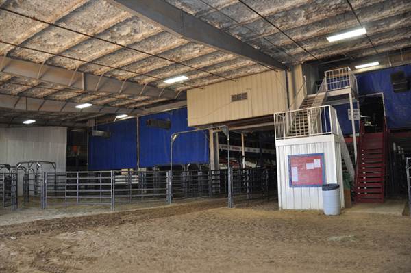 Mesquite Rodeo
