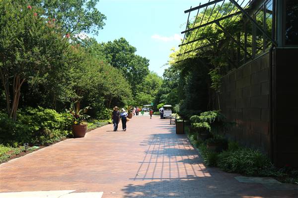 Dallas Arboretum & Botanical (7/15/2016)