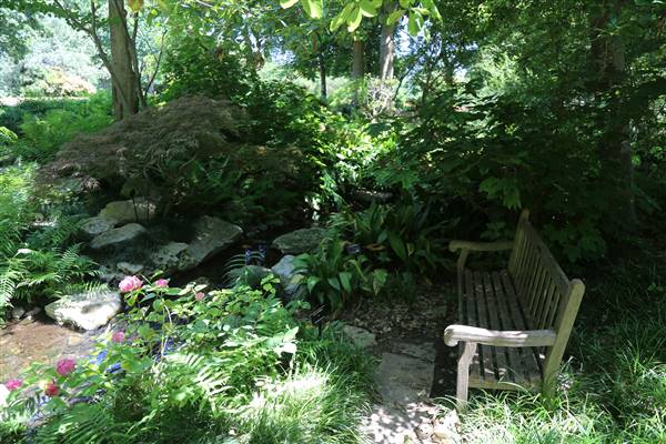 Dallas Arboretum & Botanical (7/15/2016)