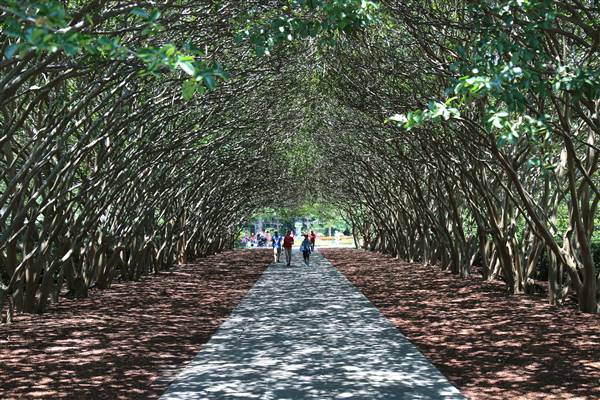Dallas Arboretum & Botanical (7/15/2016)