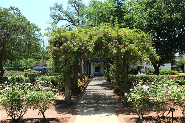 Dallas Arboretum & Botanical (7/15/2016)