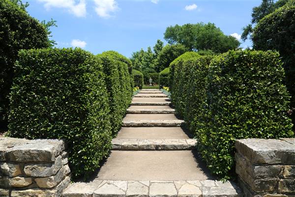 Dallas Arboretum & Botanical (7/15/2016)