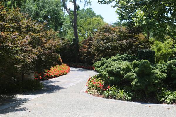 Dallas Arboretum & Botanical (7/15/2016)