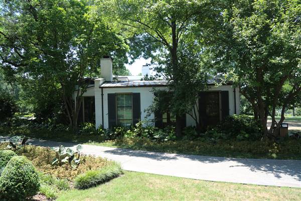 Dallas Arboretum & Botanical (7/15/2016)