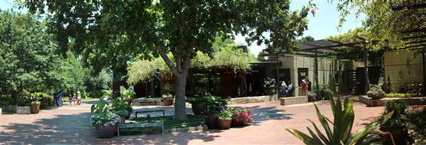 Dallas Arboretum & Botanical (7/15/2016)