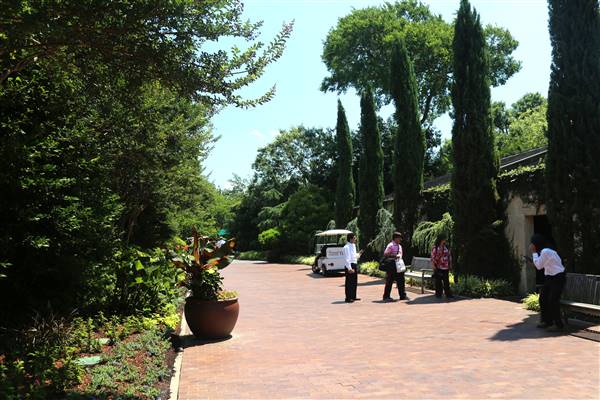 Dallas Arboretum & Botanical (7/15/2016)