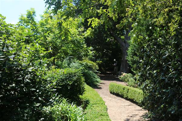 Dallas Arboretum & Botanical (7/15/2016)