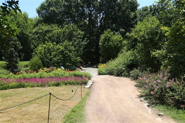 Dallas Arboretum & Botanical (7/15/2016)