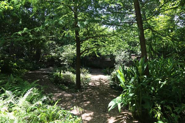 Dallas Arboretum & Botanical (7/15/2016)