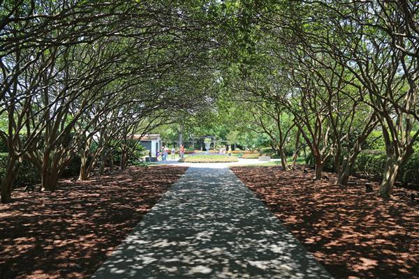 Dallas Arboretum & Botanical (7/15/2016)