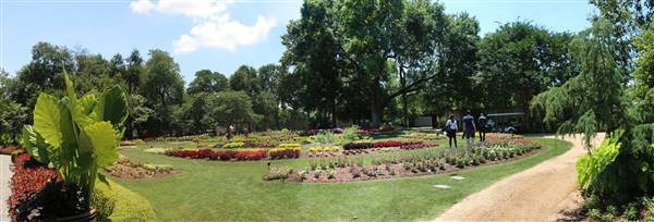 Dallas Arboretum & Botanical (7/15/2016)