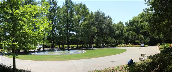 Dallas Arboretum & Botanical (7/15/2016)